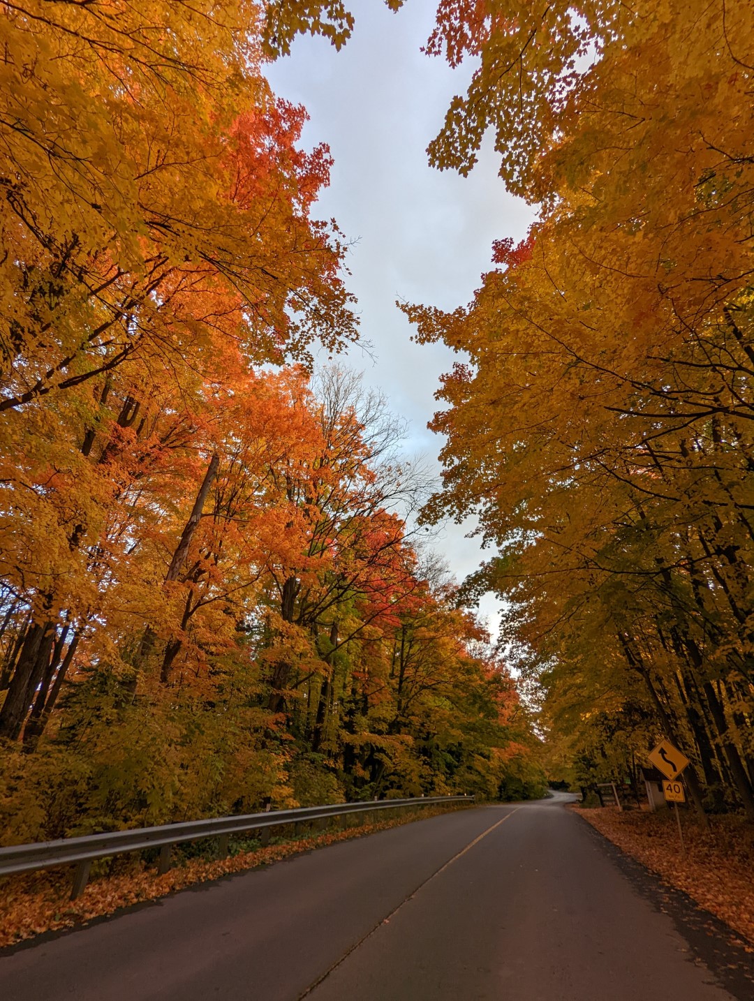 Fall Winding Road